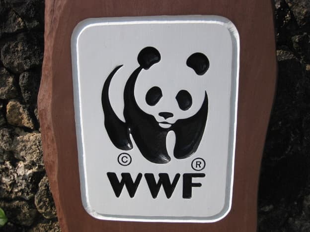 wwf